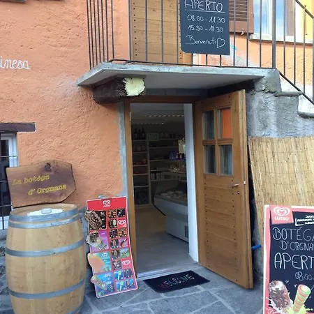 Homestay Orgnana Gambarogno