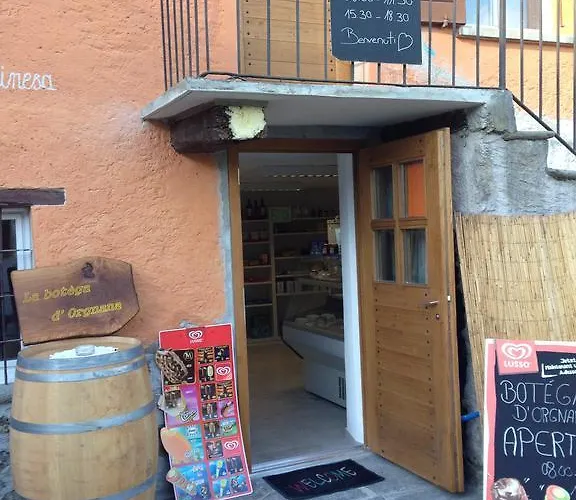 ホームステイ Orgnana Gambarogno